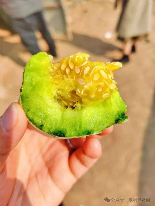 超皮吃瓜,揭秘娱乐圈背后的那些事儿