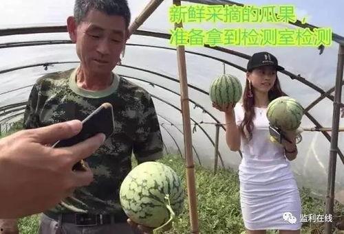 沈阳吃瓜群众直播回放,一场全民参与的美食盛宴回顾