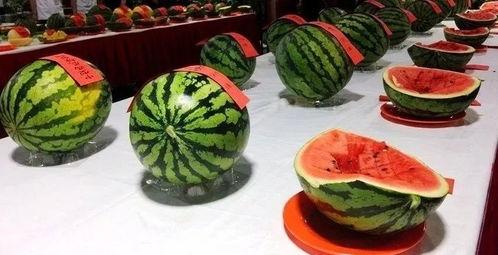 空座位吃瓜视频,揭秘娱乐圈幕后故事