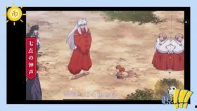 猪崽崽吃瓜,一场与自然的亲密接触