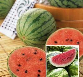 紫禁茶壶吃瓜,一场吃瓜盛宴