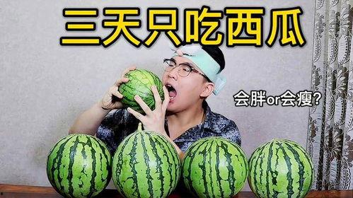 天天吃瓜能减肥吗,真能助你轻松减肥？揭秘瓜果减肥的真相