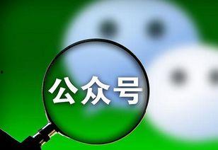 微信公众号吃鸡吃瓜,揭秘网络热点的背后故事