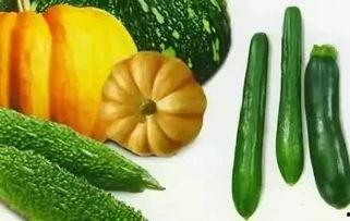 画皮吃瓜,揭秘古代奇闻中的神秘面纱