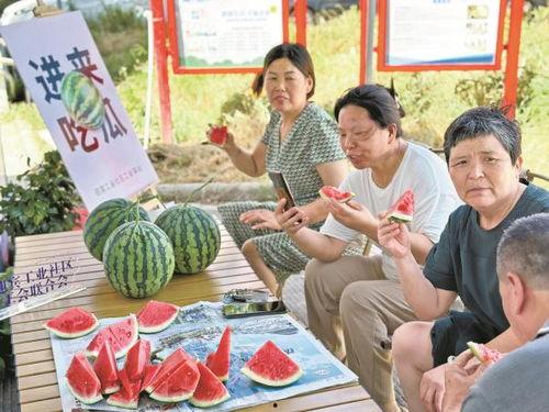 行业吃瓜者,吃瓜者的深度观察与解读